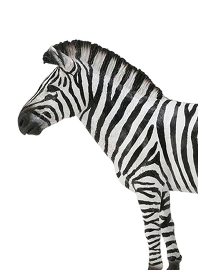 CollectA Common Zebra Animal Figure Toy  - Image 2