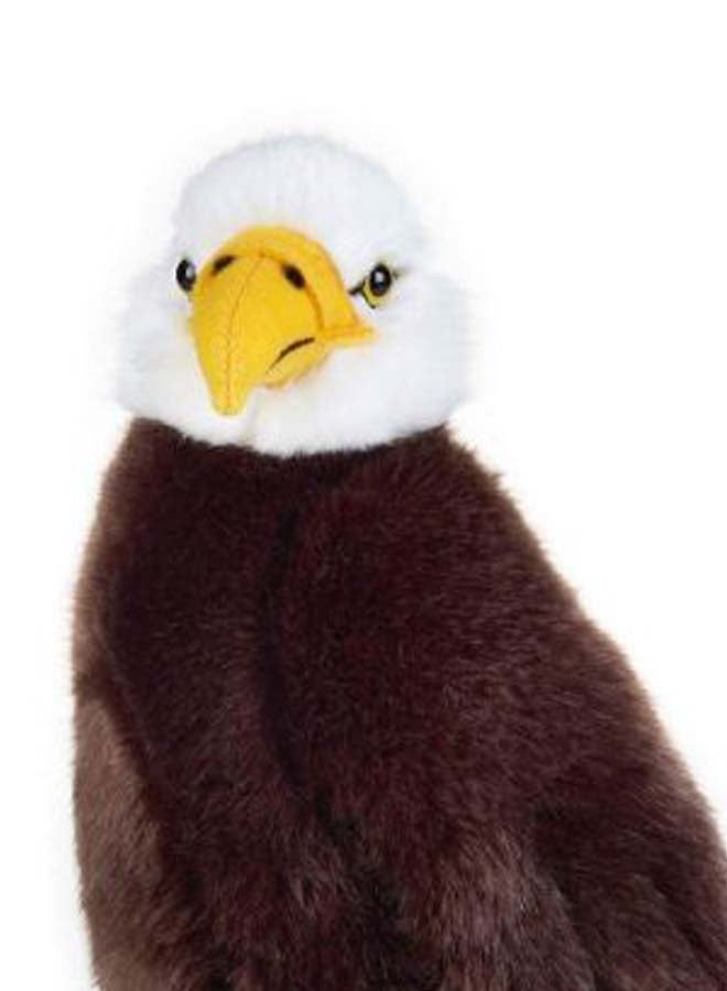 Eagle Stuffed Plush Toy 8inch - v1595521641/N39416748A_2