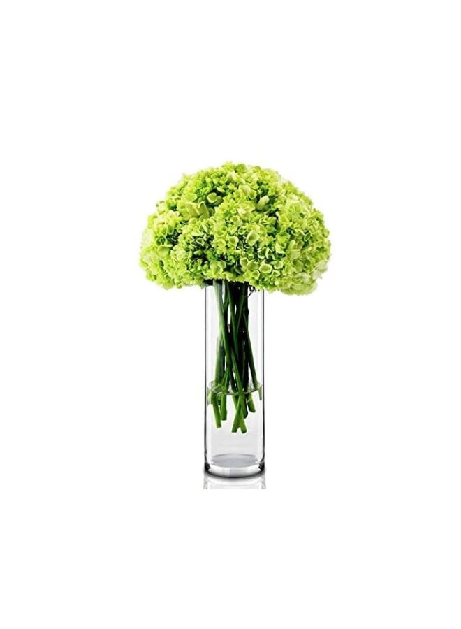Generic Decorative Cylindrical Vase Clear 10x30cm  - Image 2