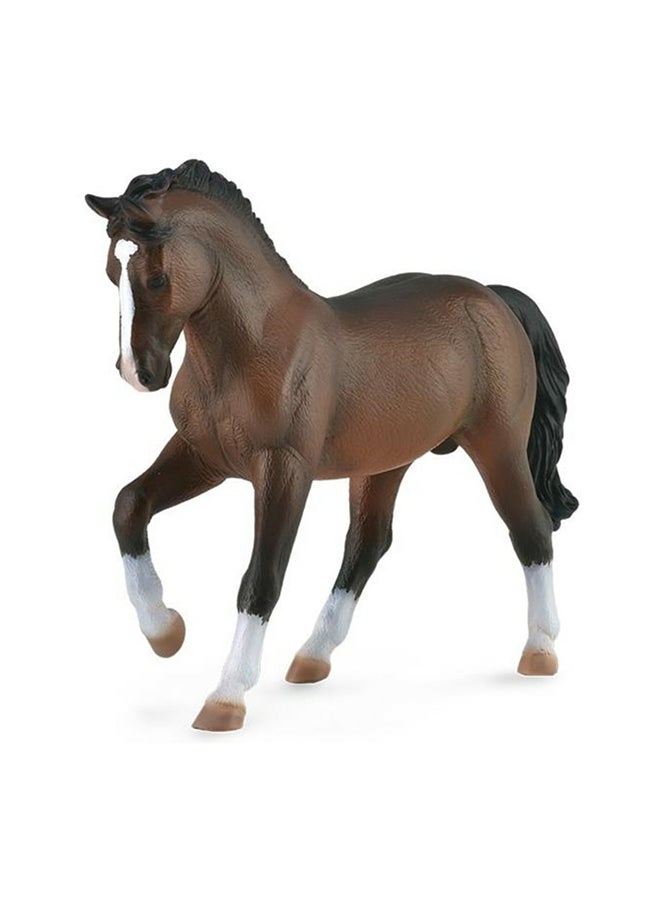 CollectA Warmblood Stallion Bay Animal Figure Toy 14.7 x 11.2cm  - Image 1
