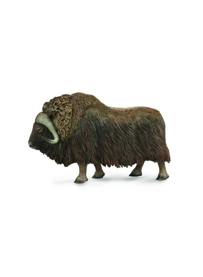 CollectA Musk Ox Animal Figure Toy - Image 1
