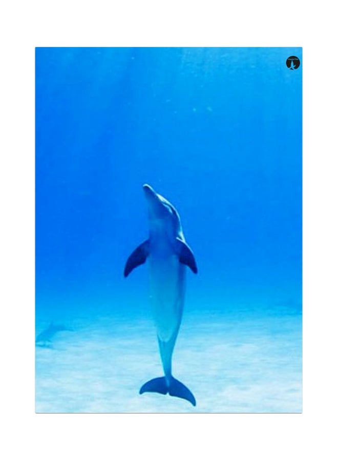 BP Dolphin Themed Metallic Plate Blue/White 20x15cm 