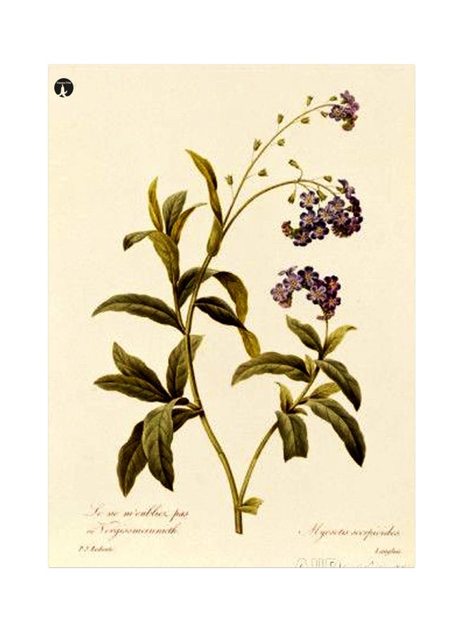 Decorative Metallic Plate Yellow/Green/Blue 20x15cm