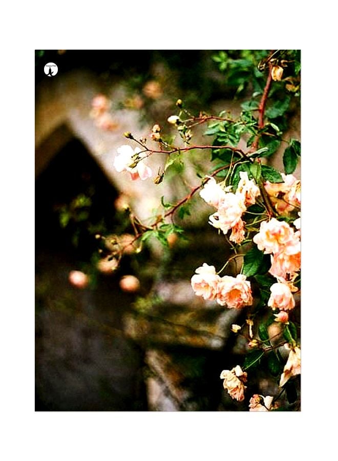 BP Floral Themed Metallic Plate Green/Beige/Black 20x15cm