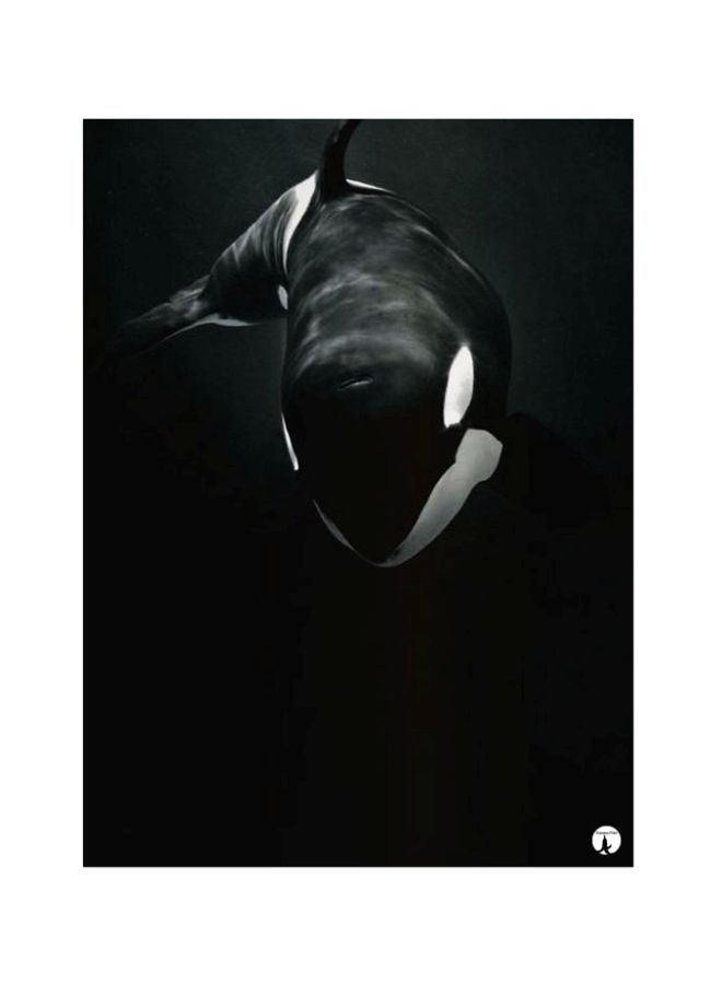 BP Fish Themed Metallic Plate Black/White 20x15cm