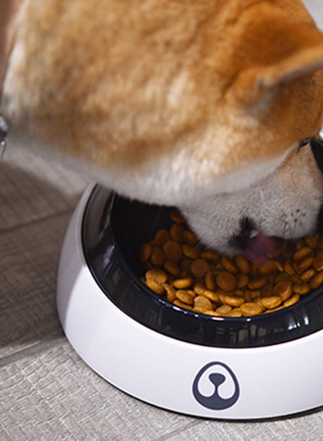 وعاء ماء للحيوانات الأليفة. أبيض/ أسود 20 x 10سم - Image 2