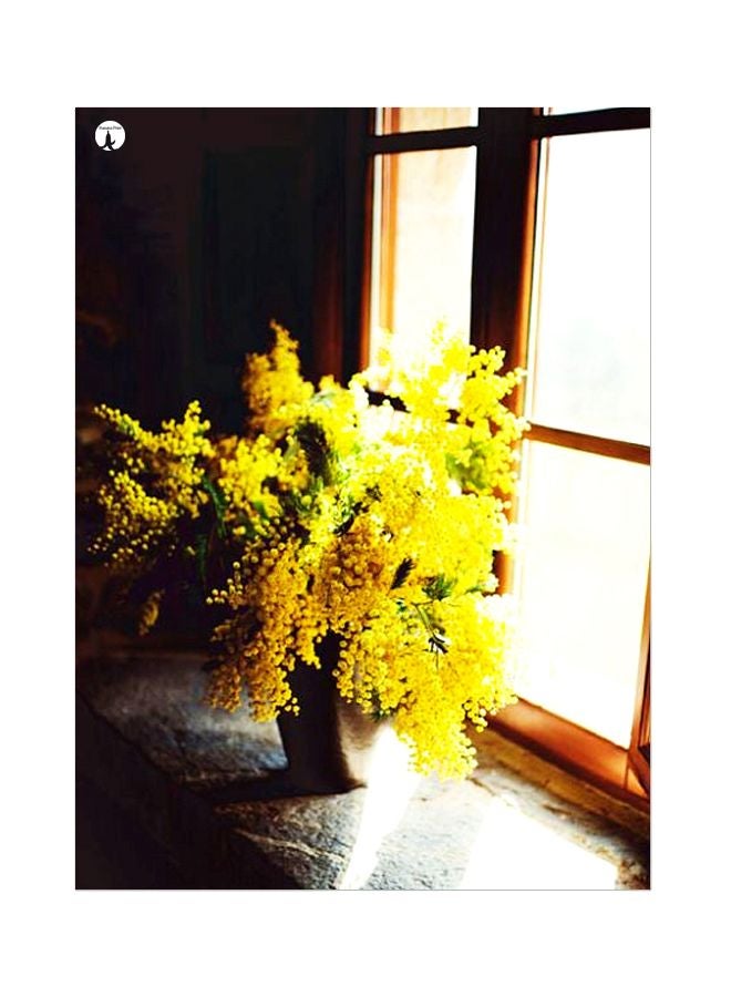 BP Flower Themed Metallic Plate Brown/Yellow/White 20x15cm