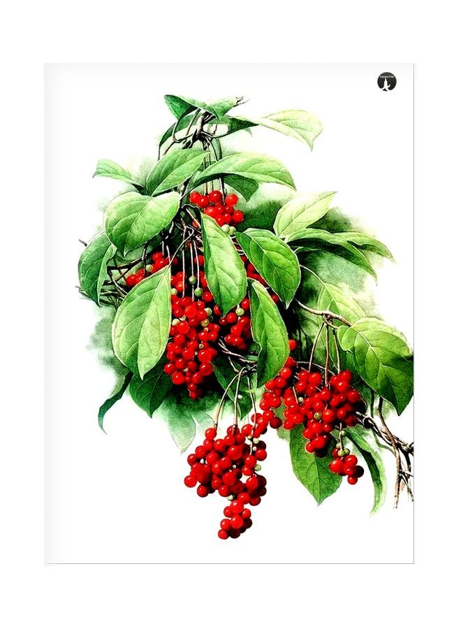 BP Fruit Themed Metallic Plate Green/White/Red 20x15cm