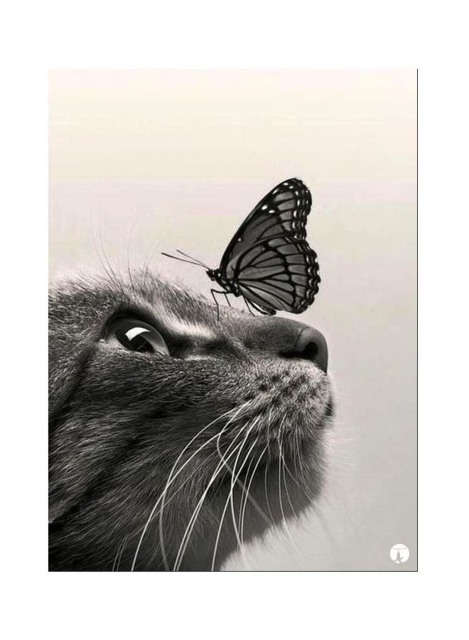 BP Cat Themed Metallic Plate Grey/Black 20x15cm