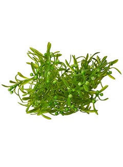 Generic Fourwalls Artificial Plastic Green Bush Dark/Green 15  x 15  x 35cm  - Image 3