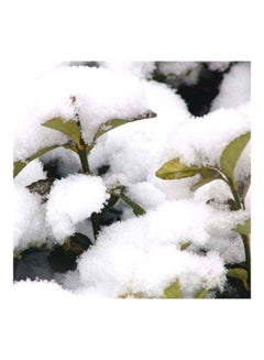 Generic Instant Snow Powder  - Image 3