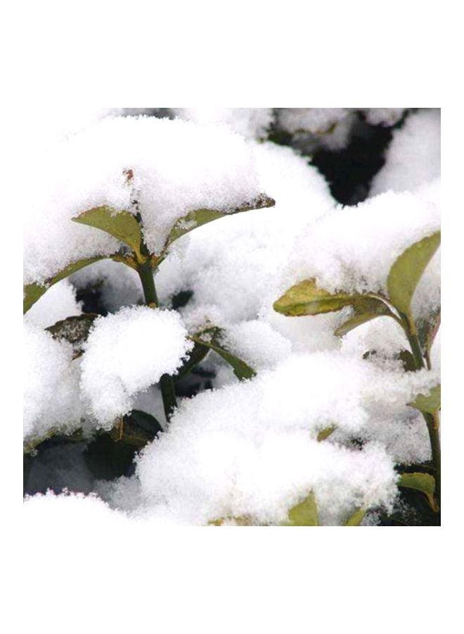 Generic - Instant Snow Powder - Image 1