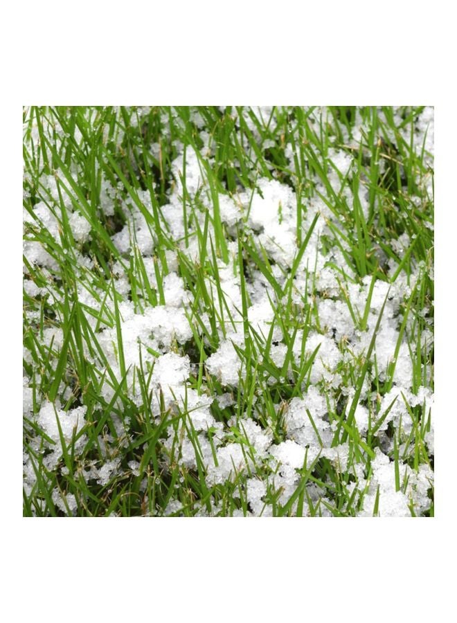 Generic - Instant Snow Powder - Image 1