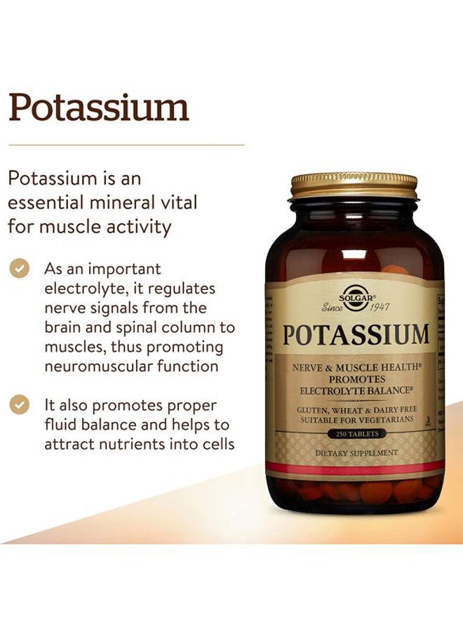 Solgar Potassium Dietary Supplement - 250 Tablets - Image 3