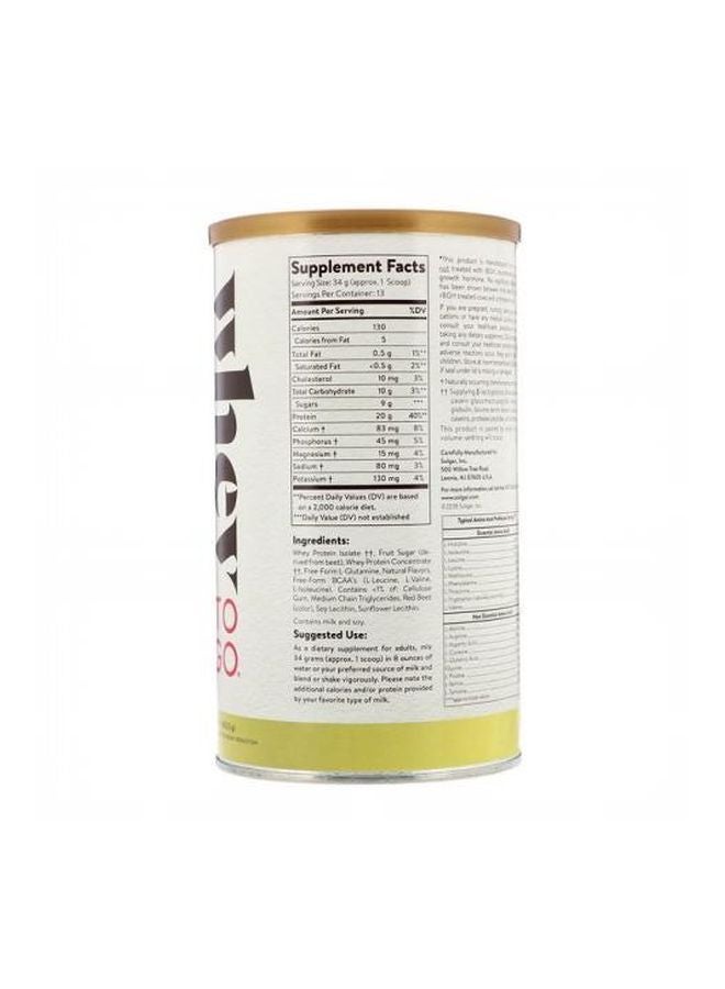 Solgar - Whey To Go Protein Powder - Natural Chocolate - Image 1