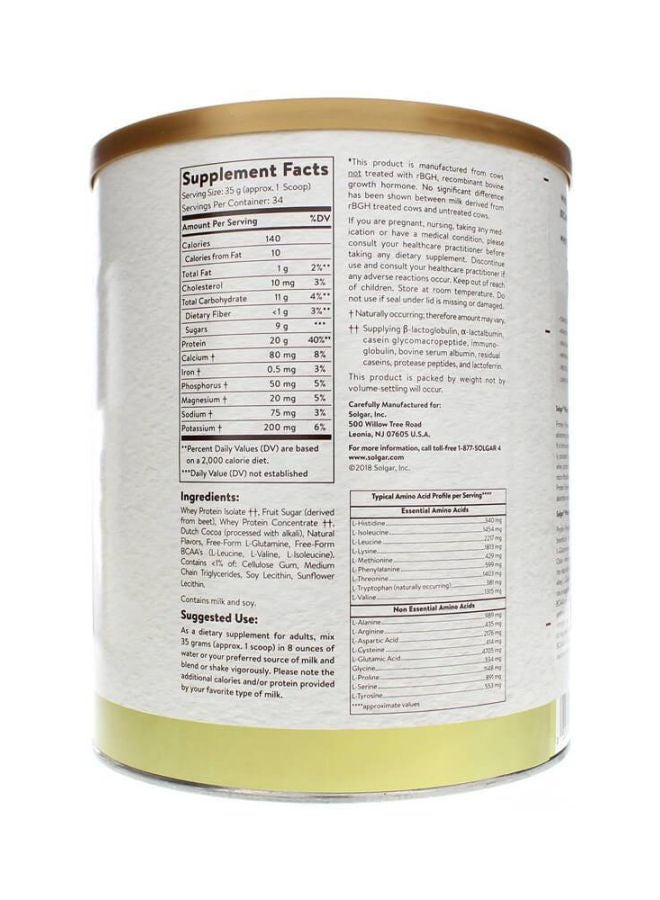 Solgar - Whey To Go Protein Powder - Natural Chocolate - Image 1