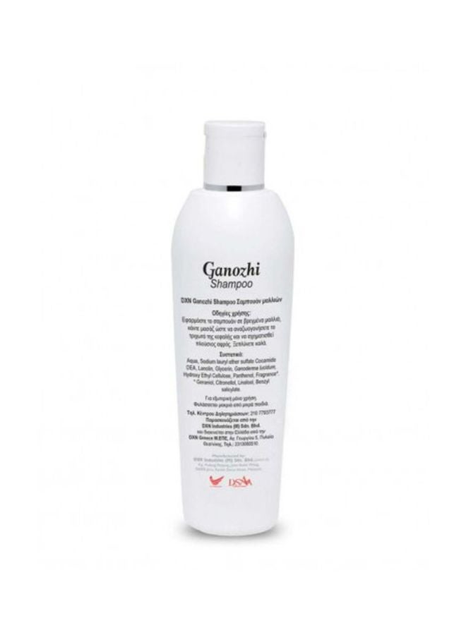 DXN Ganozhi Shampoo With Ganoderma Extract And Vitamin B5 250ml  - Image 3