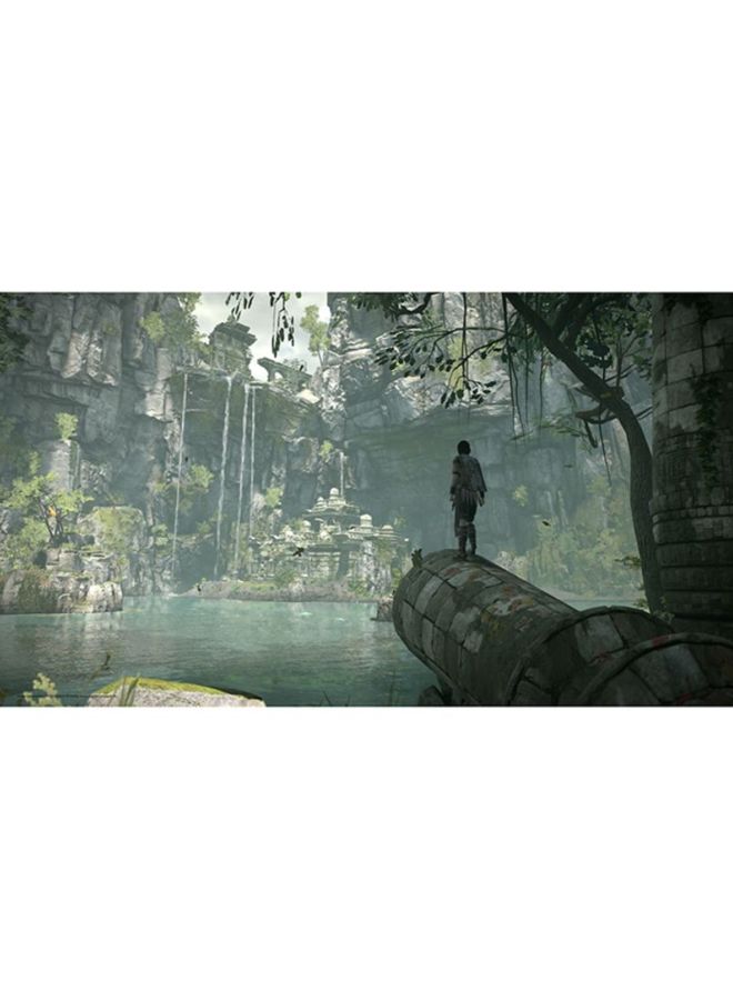 Sony - Shadow Of The Colossus (Intl Version) - Action & Shooter - PlayStation 4 (PS4) - Image 1