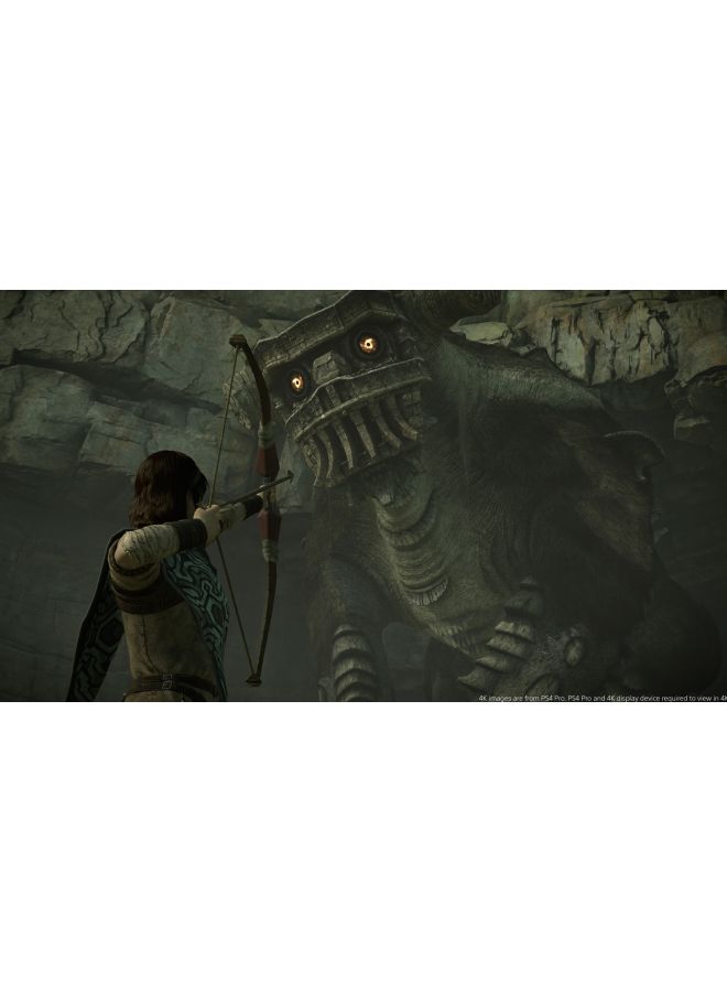 Sony - Shadow Of The Colossus (Intl Version) - Action & Shooter - PlayStation 4 (PS4) - Image 1