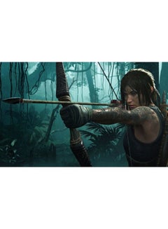 Square Enix Rise Of The Tomb Raider : 20 Year Celebration (Intl Version) - action_shooter - playstation_4_ps4  - Image 4
