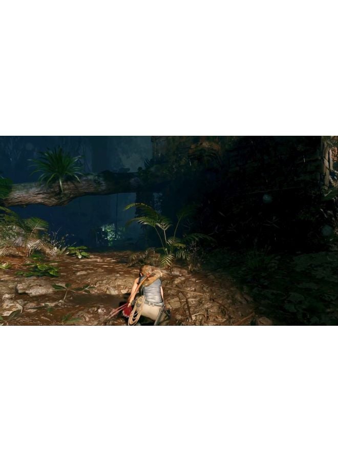 Square Enix - Tomb Raider (Intl Version) - Action & Shooter - PlayStation 3 (PS3) - Image 1