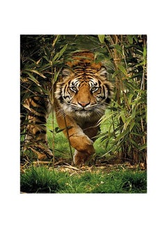 LifeFull DIY Paint by Numbers for Adults & Kids, Bengal Tiger, Acrylic Wall Art for Home Office, Calming Relaxation Color by Number Activity Kit, Paint by Numbers Canvas for Beginners & Experts 40x50cm Colorful 40x50cm
