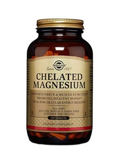 Solgar Chelated Magnesium Dietary Supplement - 250 Tablets  - Image 1