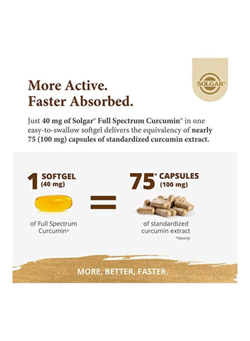 Solgar Full Spectrum Curcumin Liquid Extract - 90 Softgels - Image 4