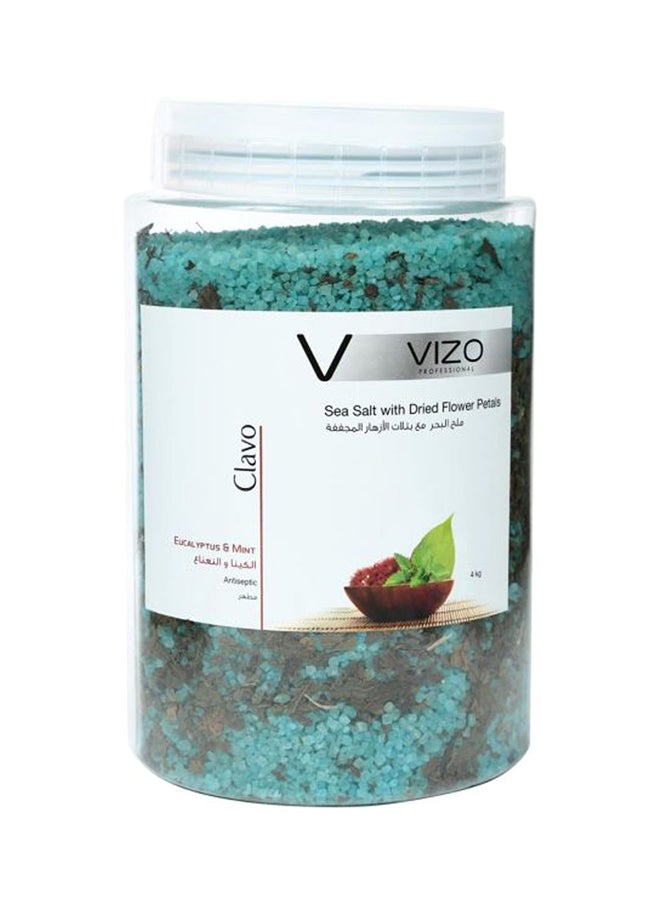 Clavo Sea Salt Eucalyptus & Mint 4000grams