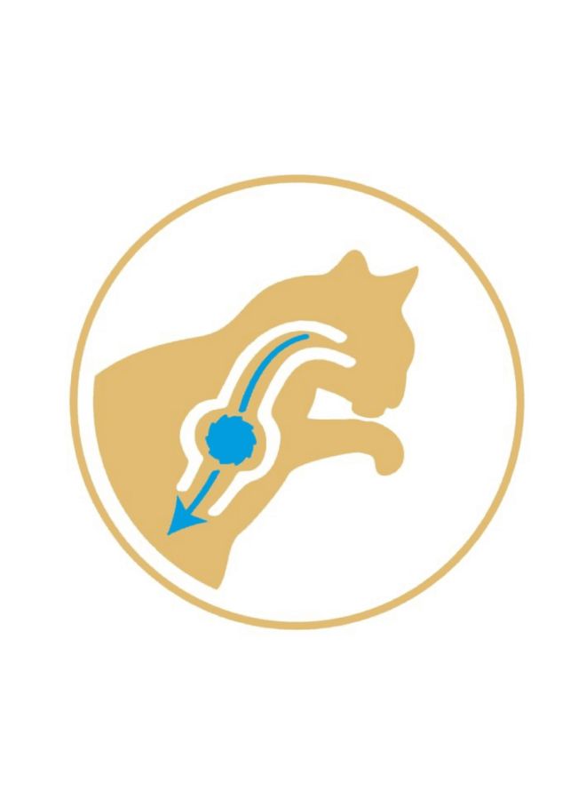 رويال كانين طعام للقطط الفارسية البالغة 400جرام - Image 4