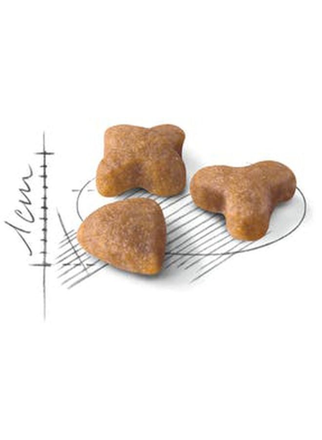 رويال كانين طعام سينسيبل 33 للتغذية الصحية للقطط بني 15كيلوجرام - Image 2