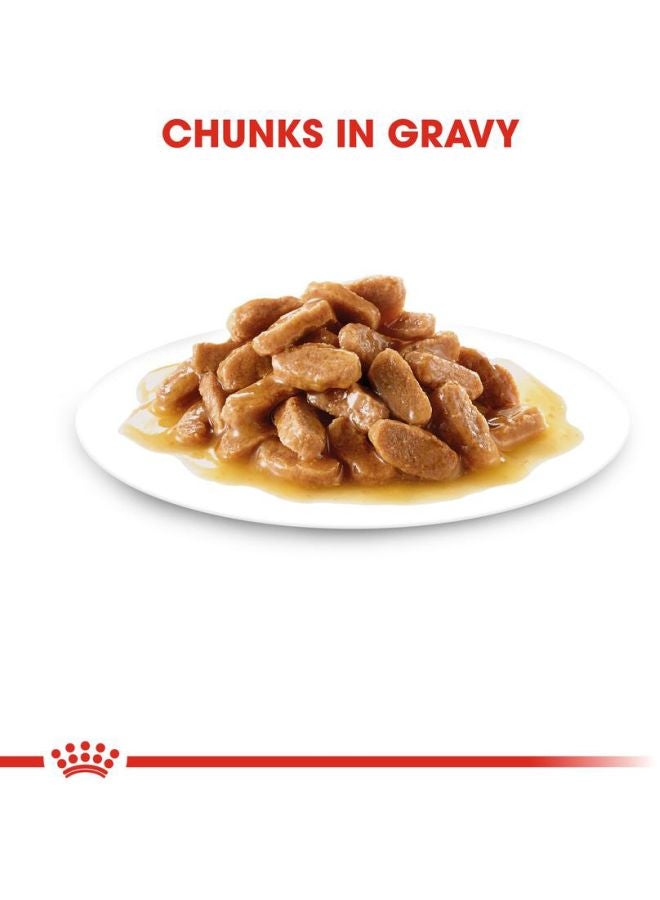 رويال كانين عبوة مكونة من 10 قطع من الطعام الرطب للحيوانات متوسطة الوزن البالغة للعناية بالحجم والصحة والتغذية 10x140جرام - Image 3