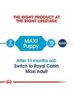 ROYAL CANIN Size Health Nutrition Maxi Dog Dry Food 4kg  - Image 4