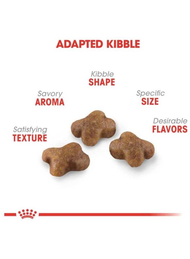 رويال كانين طعام جاف للتغذية الصحية ومناسب للقطط الشيرازي الصغيرة 2كيلوجرام - Image 2