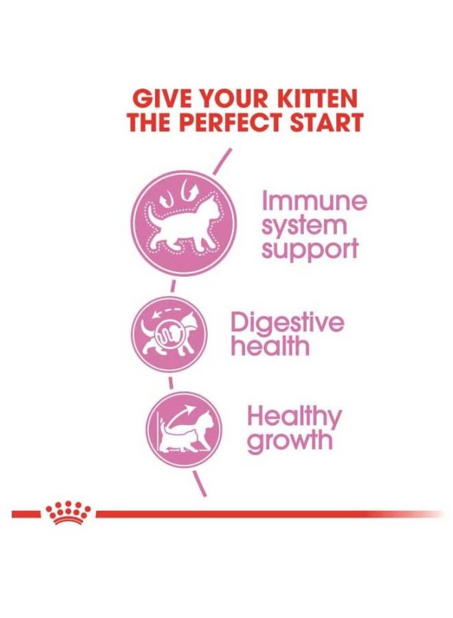 رويال كانين طعام جاف للتغذية الصحية ومناسب للقطط الشيرازي الصغيرة 2كيلوجرام - Image 3