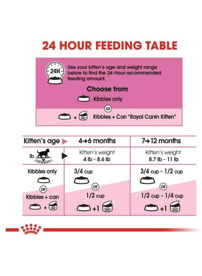 رويال كانين طعام جاف للتغذية الصحية ومناسب للقطط الشيرازي الصغيرة 2كيلوجرام - Image 5