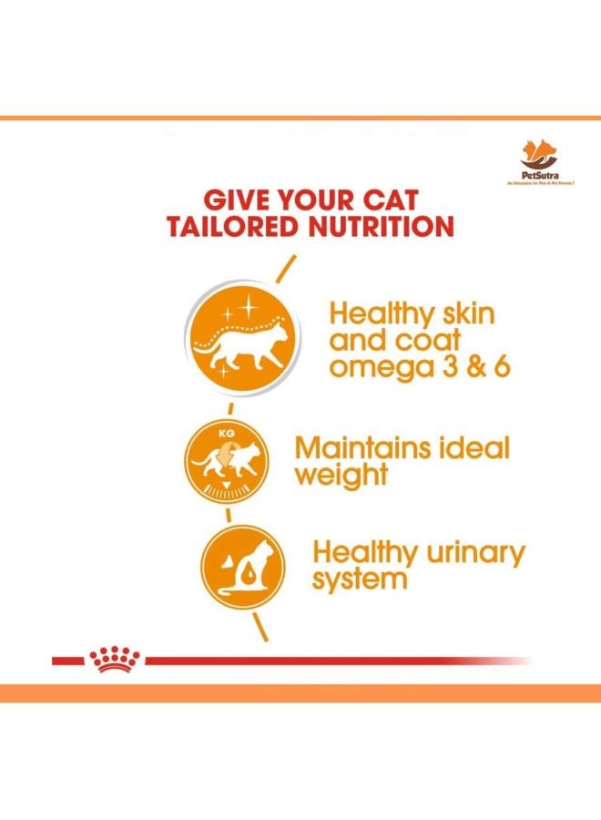 ROYAL CANIN Feline Care Nutrition Intense Beauty Jelly Wet Food Pouches 85g Pack Of 12 Multicolour 85grams  - Image 3