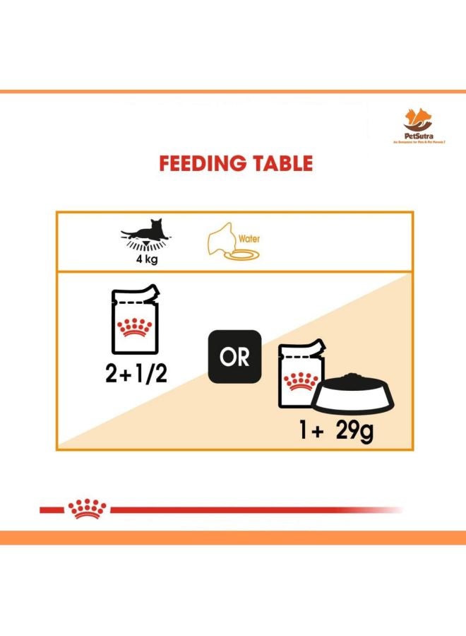 ROYAL CANIN Feline Care Nutrition Intense Beauty Jelly Wet Food Pouches 85g Pack Of 12 Multicolour 85grams  - Image 5