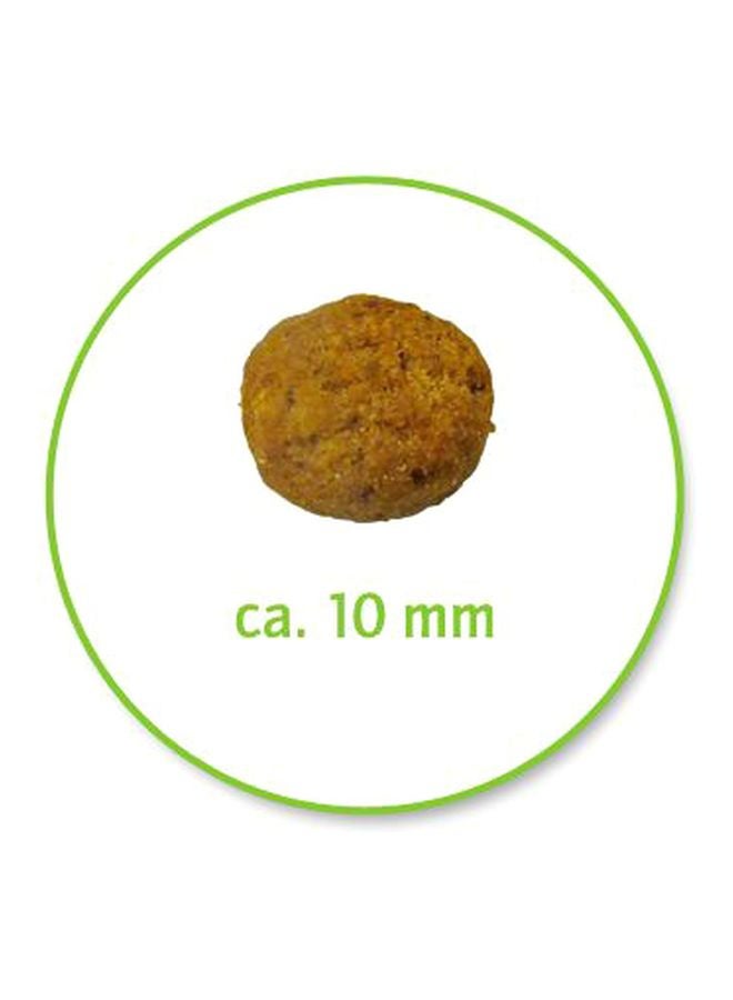 رويال كانين أغذية جافة معقمة لصحة القطط بني 400جرام - Image 2