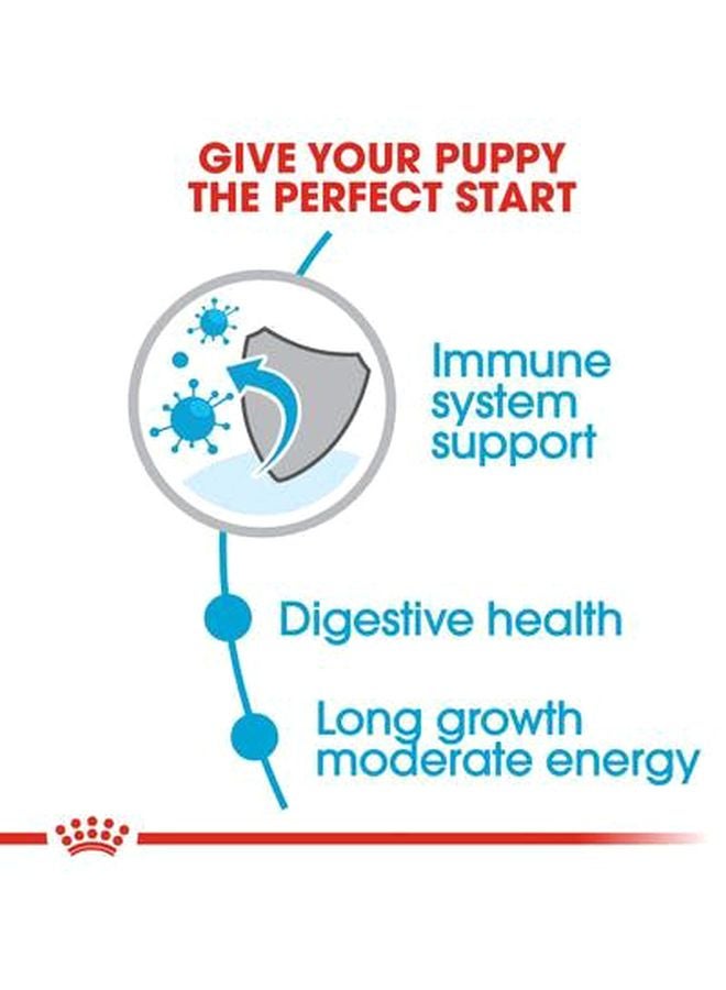 رويال كانين طعام هوم لايف للتغذية الصحية للقطط المنزلية 1.5كيلوجرام - Image 4