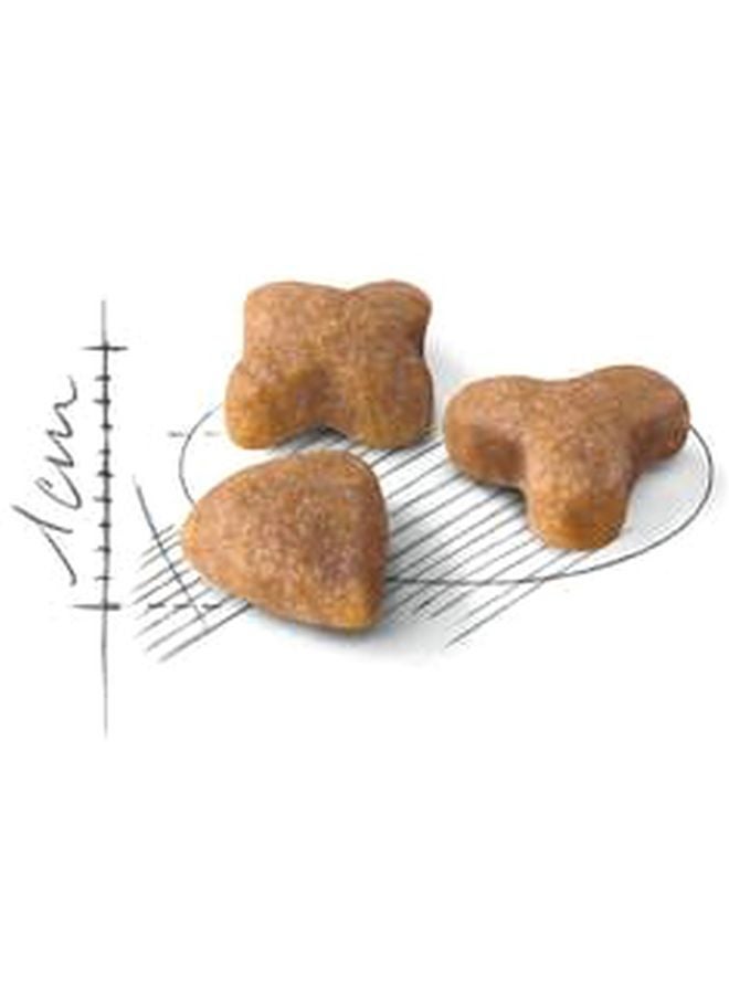 رويال كانين طعام رجولار سينسيبل للتغذية الصحية للقطط العادية الحساسة 400جرام - Image 2