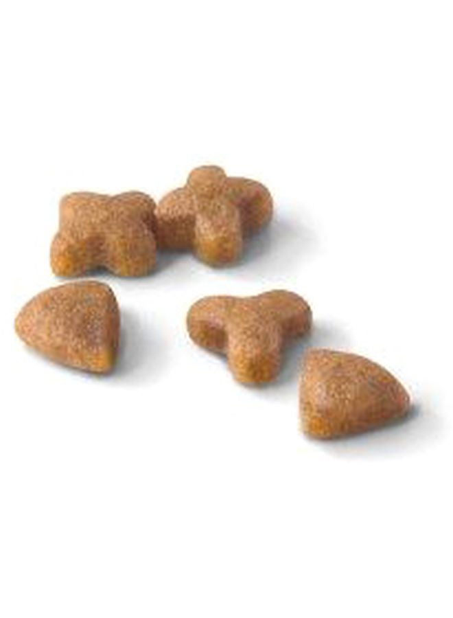 رويال كانين طعام رجولار سينسيبل للتغذية الصحية للقطط العادية الحساسة 400جرام - Image 3