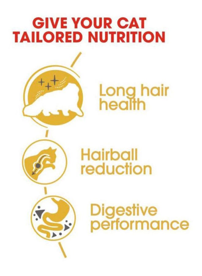 رويال كانين طعام جاف للقطط الفارسية 4كيلوجرام - Image 5