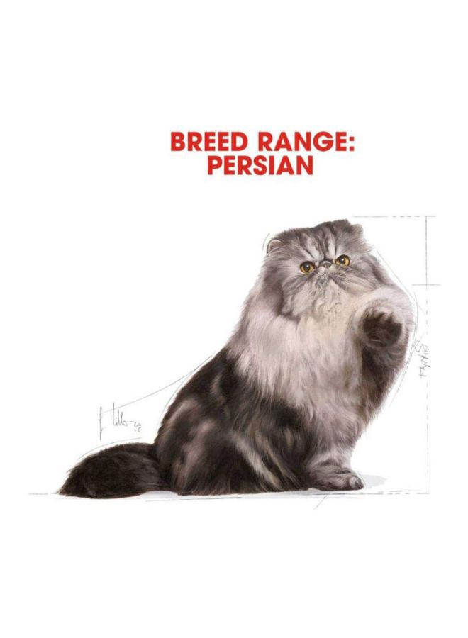ROYAL CANIN Indoor Long Hair Dry Cat Food 2kg - Image 2
