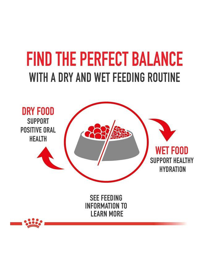 رويال كانين طعام للقطة الأم والقطط الصغيرة 2كيلوجرام - Image 5