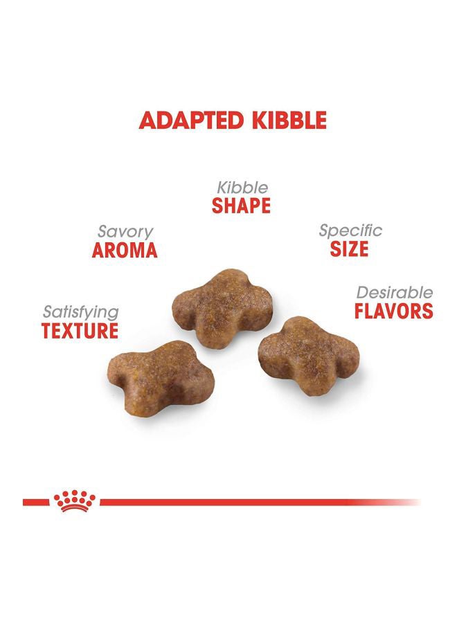 ROYAL CANIN Feline Health Nutrition Kitten Sterilised Food Brown 2kg - Image 2