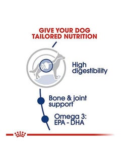 ROYAL CANIN Maxi Adult Size Health Nutrition Dry Food 4kg  - Image 4