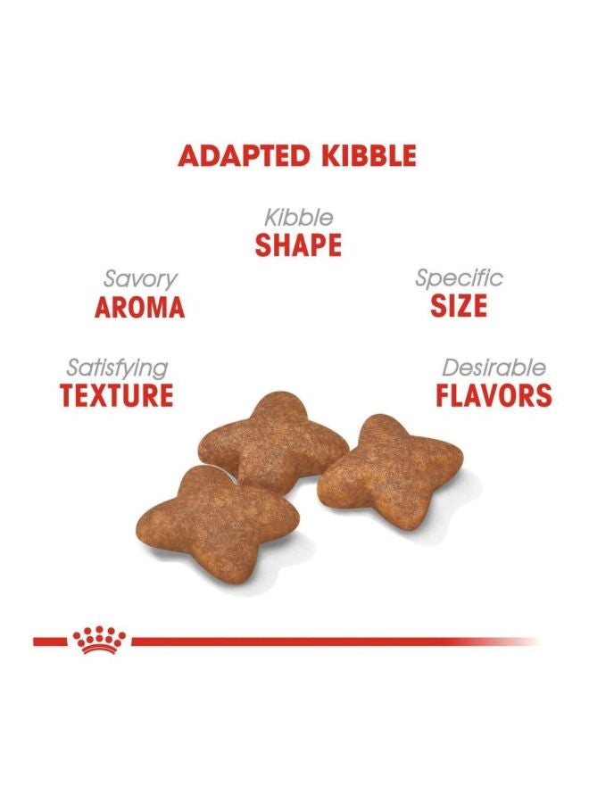 رويال كانين طعام مجفف للقطط في الفئة العمرية الثانية بني 2كيلوجرام - Image 3