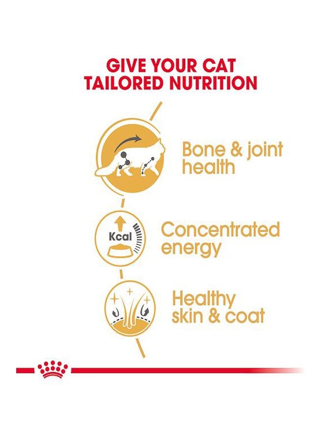 ROYAL CANIN Feline Breed Nutrition Maine Coon Wet Food Pouches 85g Pack Of 12  - Image 4