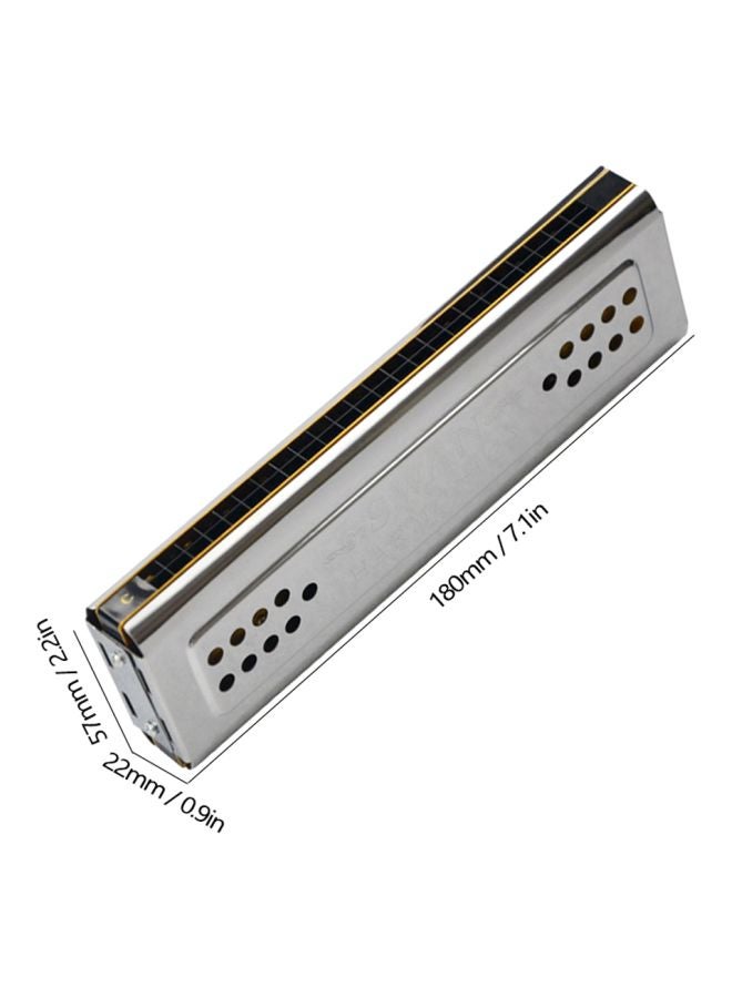 Swan 24 Holes Both Sides Harmonica  - Image 4